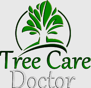 Roley’s Tree Care and Firewood